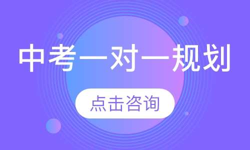 中考一对一辅导